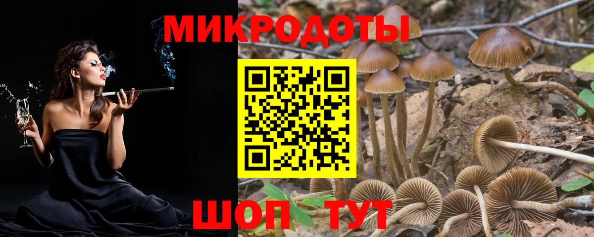 как найти   Псилоцибиновые грибы Magic Shrooms  Вход с VPN  Светлоград 