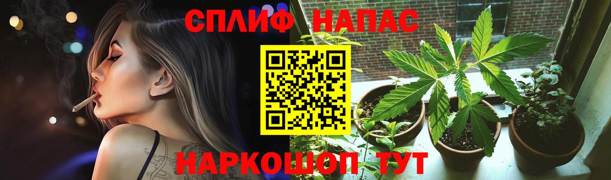 Светлоград  Бошки марихуана OG Kush  Конопля ГИДРОПОН  Бошки Шишки планчик  Вход с VPN 
